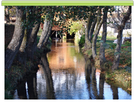 Patrimonio en Castrocontrigo